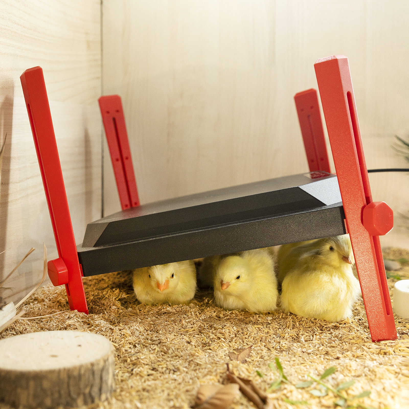 Chick Heater Brooder Plate - ANDMON ELECTRONICS