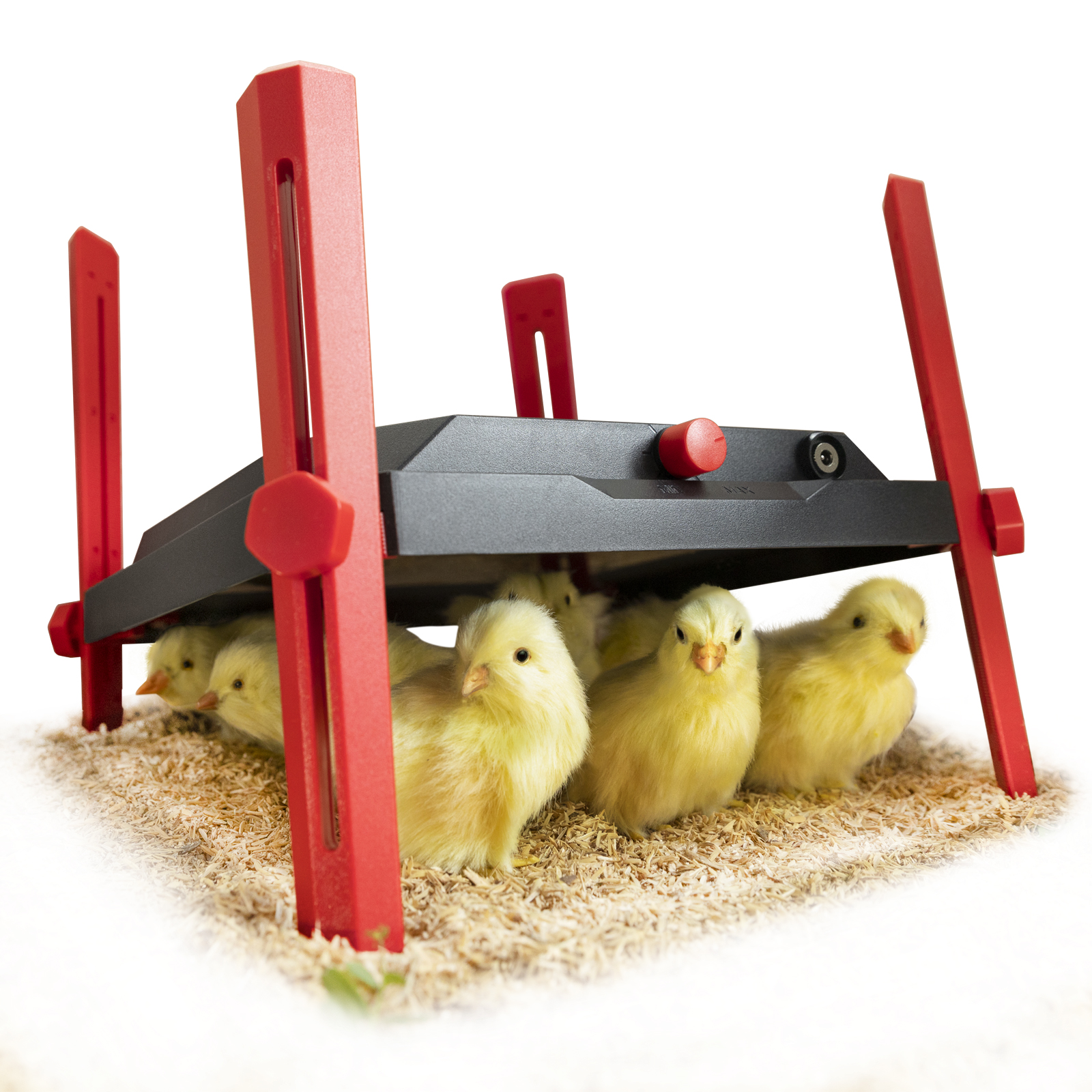 Chick Heater Brooder Plate - ANDMON ELECTRONICS