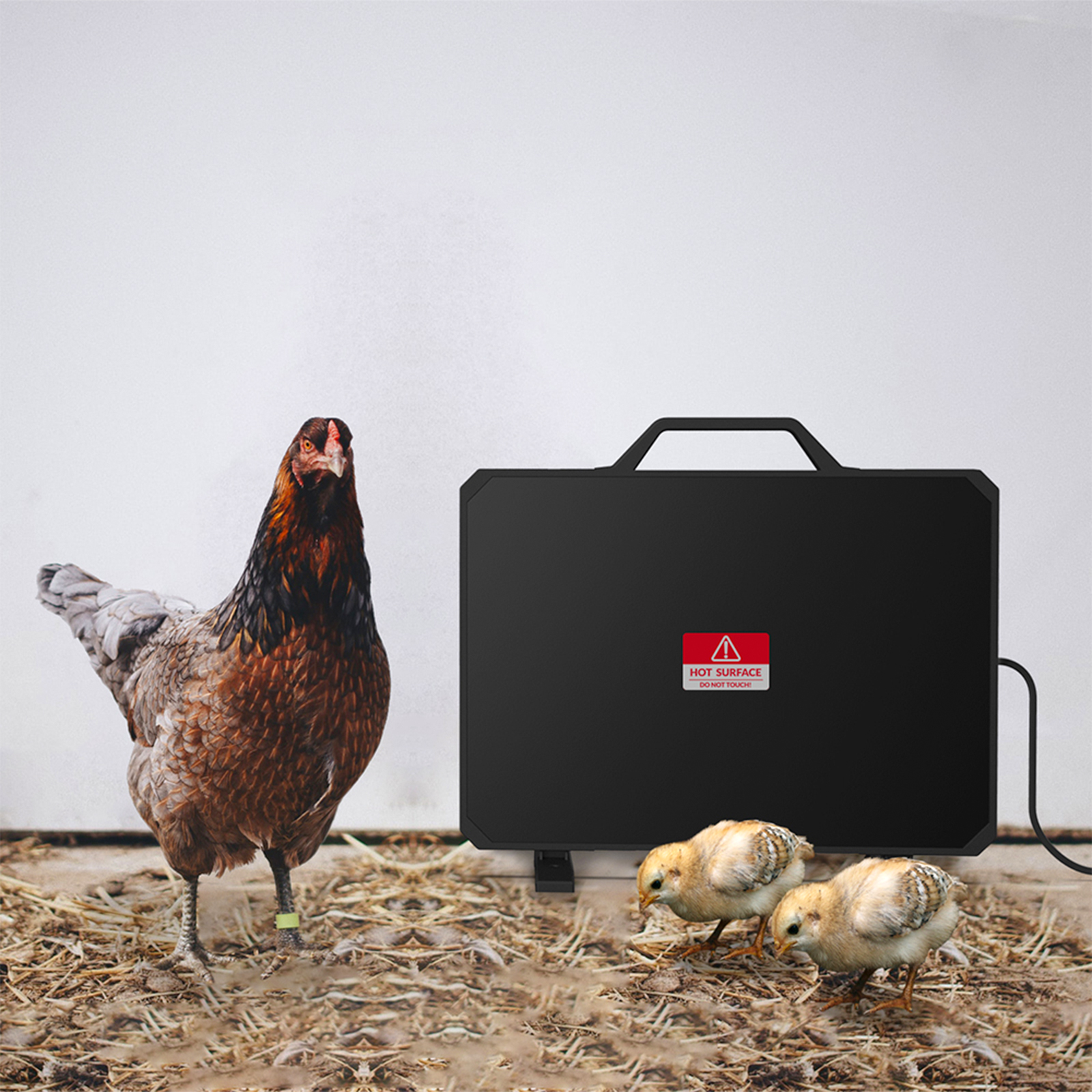 Chicken Coop Heater